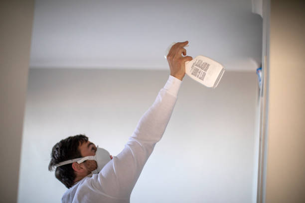 Best Mold Removal Near Me  in Chatmoss, VA