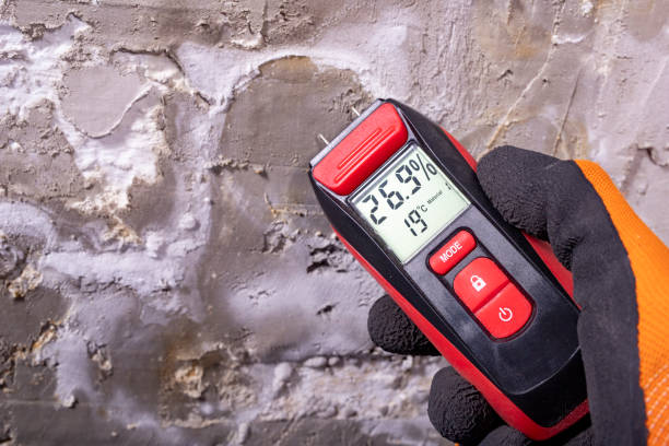 Best Residential Mold Removal  in Chatmoss, VA