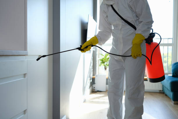 Best Mold Removal and Inspection  in Chatmoss, VA