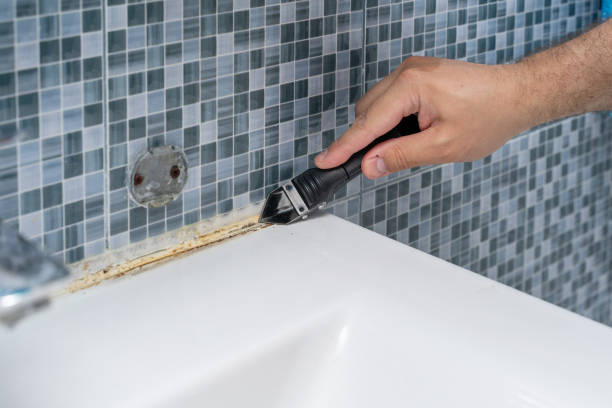 Best Attic Mold Removal  in Chatmoss, VA