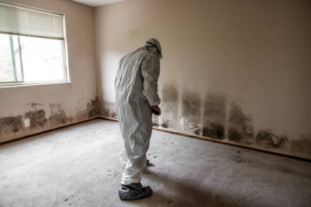 Best Crawl Space Mold Removal  in Chatmoss, VA